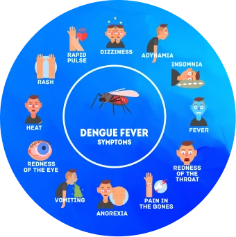 Dengue