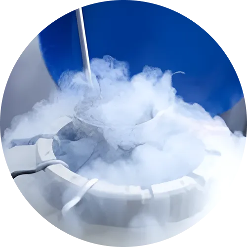 Embryo freezing - lifeplus