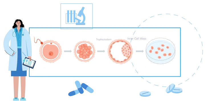 Invitro Fertilization
