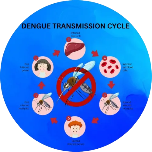 Dengue Viral Fever